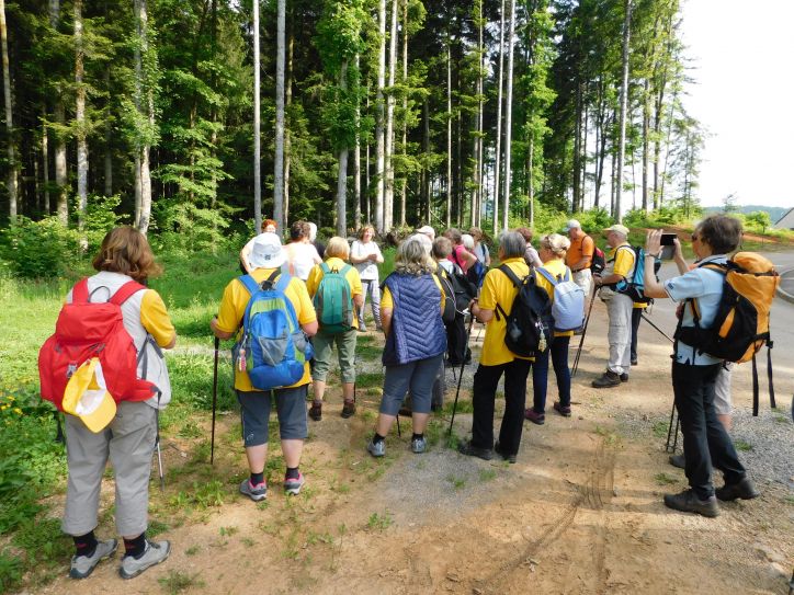 Arheološka pot Cvinger-srečanje z Zagrebčani